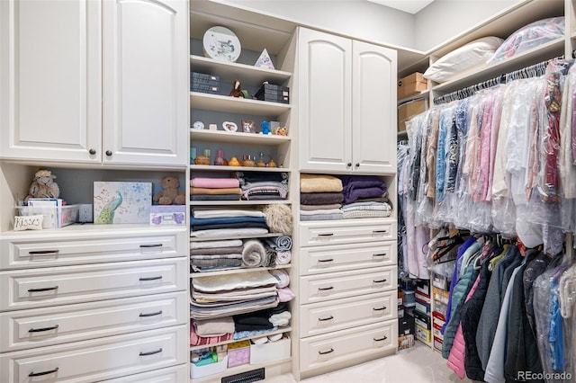 view of spacious closet