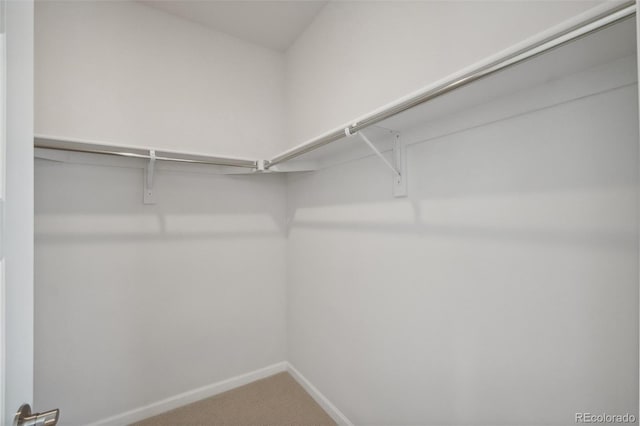 spacious closet with carpet flooring