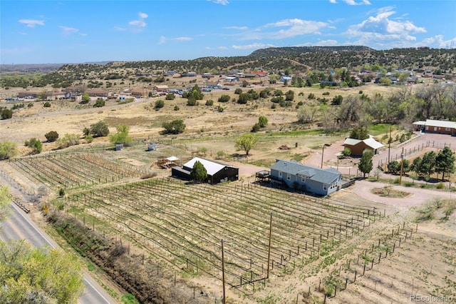 1704 Willow St, Canon City, CO 81212 - view of rural area with abundant farmland and mountains