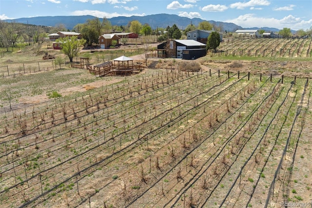1704 Willow St, Canon City, CO 81212 - view of yard with an outbuilding, a view of rural / pastoral area, a mountain view, agricultural area, and fence