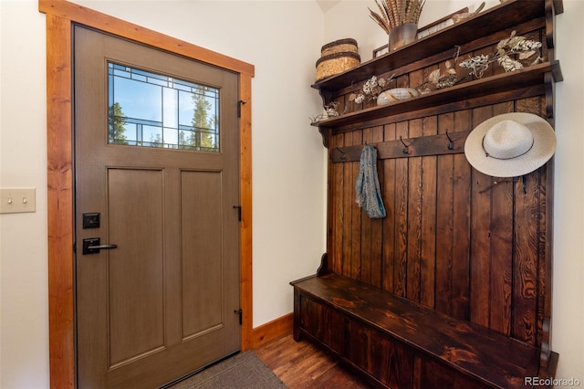 mudroom with dark wood-type flooring