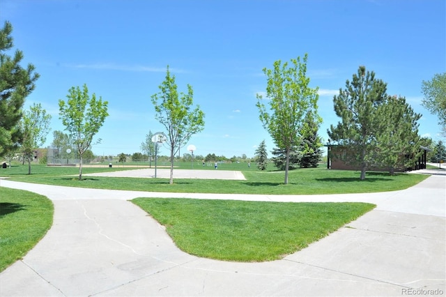 5282 Devon Ave, Castle Rock, CO 80104 - view of home's community with a yard