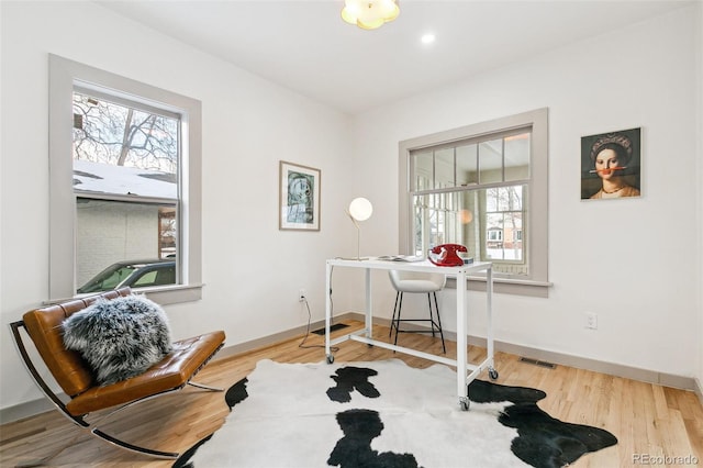 office space featuring wood-type flooring