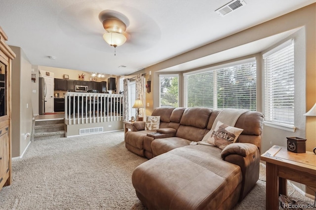 23634 Broadmoor Dr, Parker, CO 80138 - carpeted living room with plenty of natural light