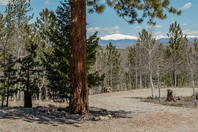 view of mountain feature featuring a view of trees