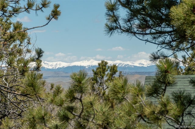 view of mountain feature