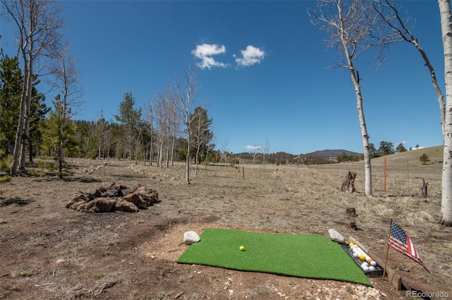 view of yard featuring a rural view