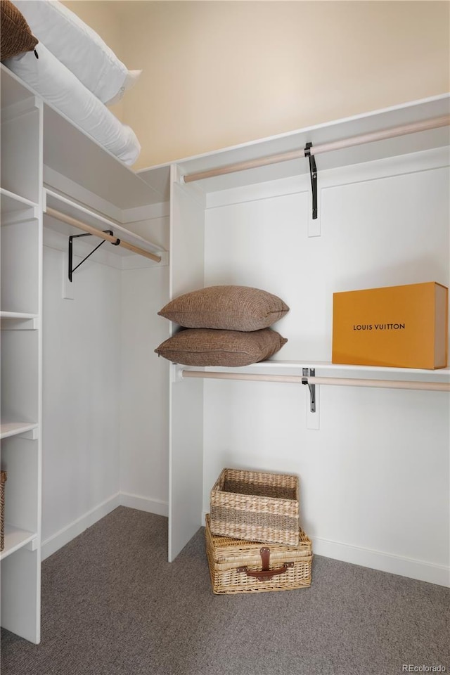 spacious closet featuring carpet floors