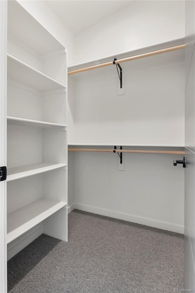 walk in closet with carpet flooring