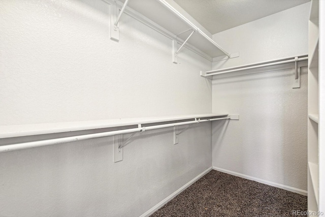 15762 Olmsted Pl, Denver, CO 80239 - walk in closet with dark colored carpet