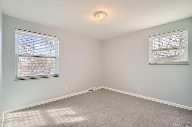 empty room with carpet floors and a wealth of natural light