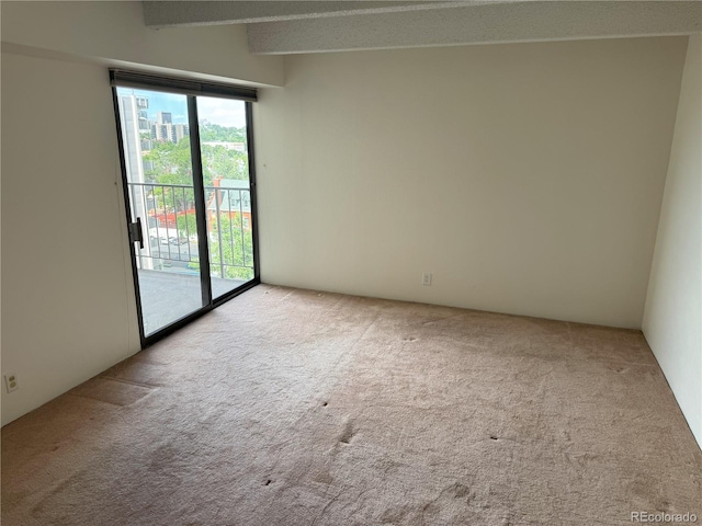 777 N Washington St Unit 1007, Denver, CO 80203 - carpeted empty room with beam ceiling