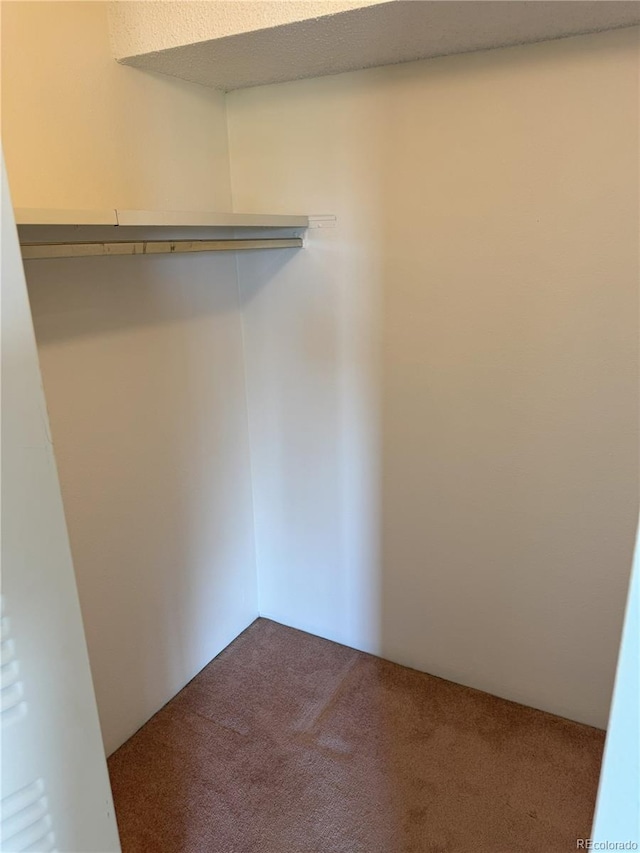 777 N Washington St Unit 1007, Denver, CO 80203 - spacious closet with carpet floors
