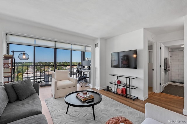 living room with hardwood / wood-style flooring and a wealth of natural light