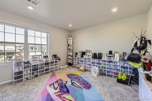 9099 Sedalia St, Commerce City, CO 80022 - photo 22