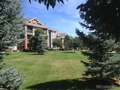804 Summer Hawk Dr Unit 6105, Longmont, CO 80504 - view of grassy yard