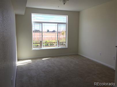 804 Summer Hawk Dr Unit 6105, Longmont, CO 80504 - unfurnished room featuring carpet and healthy amount of natural light