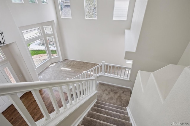 10765 Willow Reed Ct, Parker, CO 80134 - photo 23