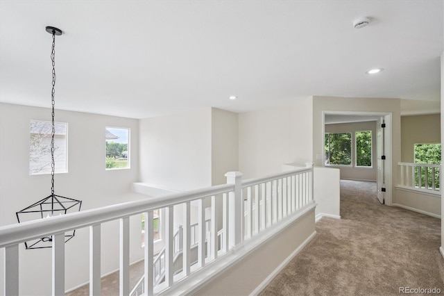 10765 Willow Reed Ct, Parker, CO 80134 - photo 25