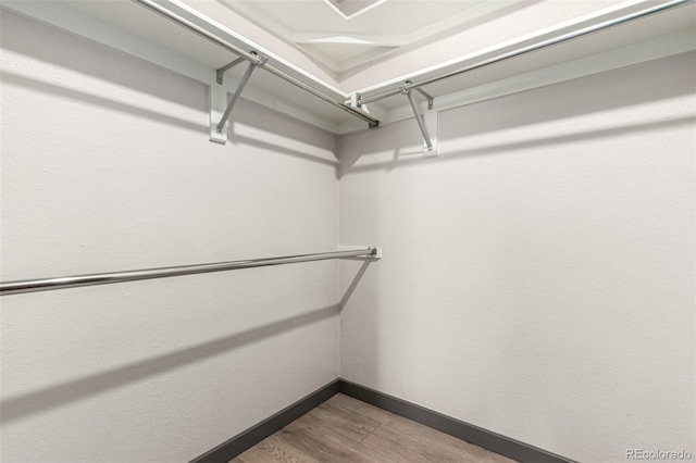 10172 Woodrose Ln, Highlands Ranch, CO 80129 - walk in closet featuring wood finished floors