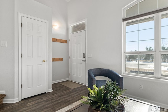 foyer entrance featuring dark wood-type flooring