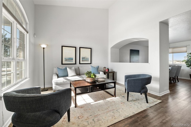 living room with wood-type flooring and a towering ceiling