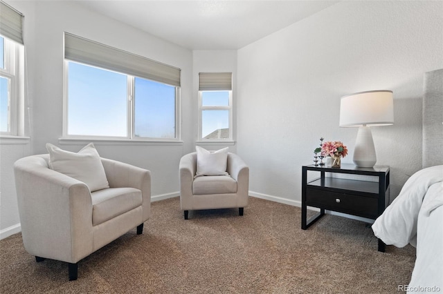 living area featuring carpet flooring