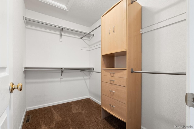 spacious closet with carpet flooring