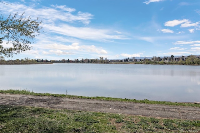 property view of water