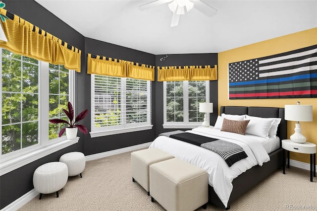 6940 Saddleback Ave, Firestone, CO 80504 - bedroom with baseboards, carpet flooring, and ceiling fan