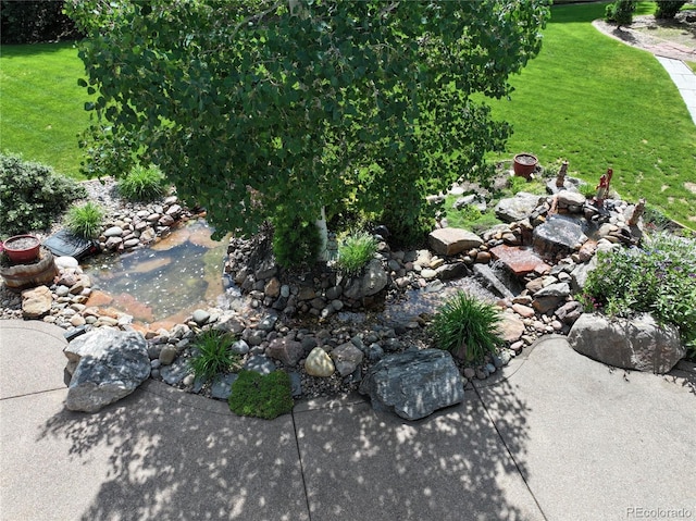6940 Saddleback Ave, Firestone, CO 80504 - view of grassy yard with a garden pond