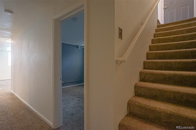 stairway featuring carpet flooring