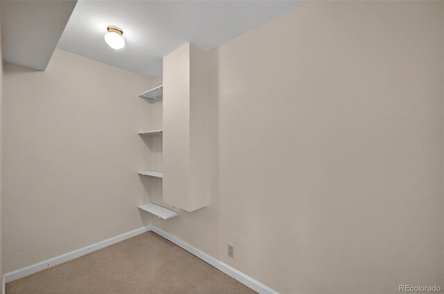 723 Orion Dr, Colorado Springs, CO 80906 - spacious closet with carpet