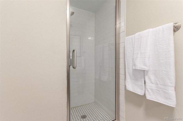 10370 Routt St, Westminster, CO 80021 - bathroom featuring a stall shower