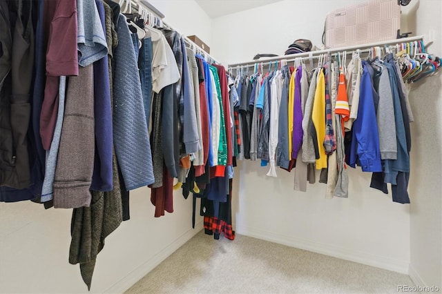 walk in closet featuring carpet flooring