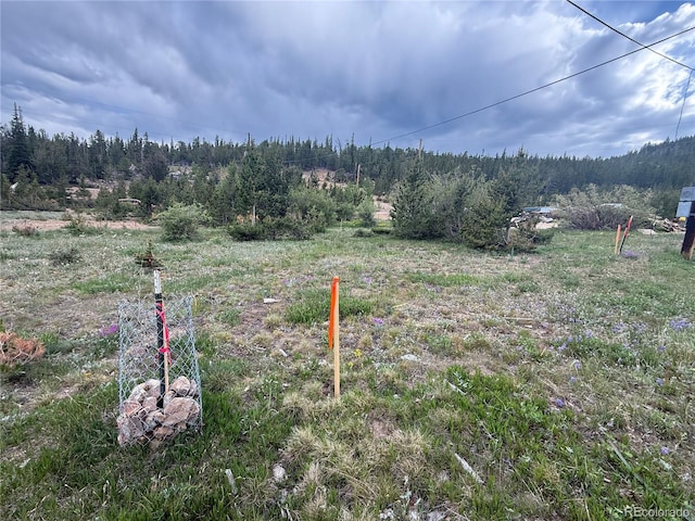603 Aspen Rd, Idaho Springs, CO 80452