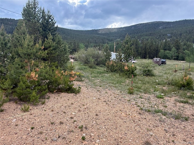 603 Aspen Rd, Idaho Springs, CO 80452