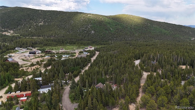603 Aspen Rd, Idaho Springs, CO 80452
