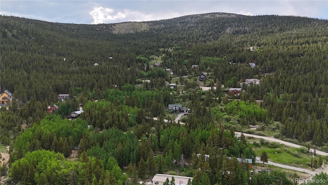 603 Aspen Rd, Idaho Springs, CO 80452