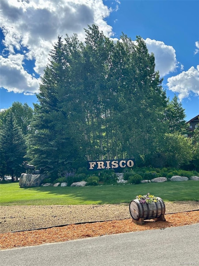 308 Creekside Aly Unit 5, Frisco, CO 80443 - view of grassy yard