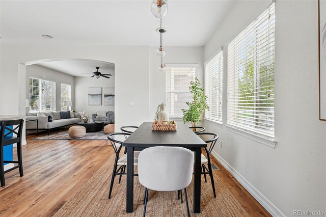 14025 Blue River Trl, Broomfield, CO 80023 - dining area featuring healthy amount of natural light, light wood-style floors, arched walkways, and baseboards