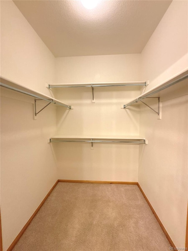 3231 E 102nd Pl, Thornton, CO 80229 - photo 19