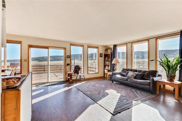 living room featuring dark hardwood / wood-style floors