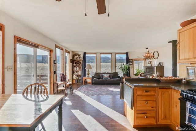 kitchen featuring ceiling fan with notable chandelier, light brown cabinetry, dark hardwood / wood-style flooring, and gas stove