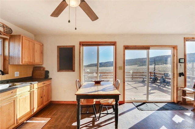 kitchen featuring a mountain view, sink, ceiling fan, tasteful backsplash, and dark hardwood / wood-style flooring