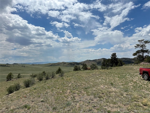 000 Woroka Trl, Hartsel, CO 80449 - photo 2