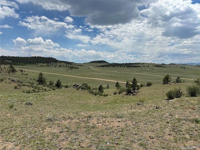 000 Woroka Trl, Hartsel, CO 80449 - photo 4