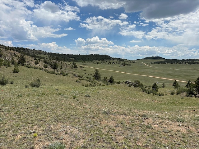 000 Woroka Trl, Hartsel, CO 80449 - photo 5