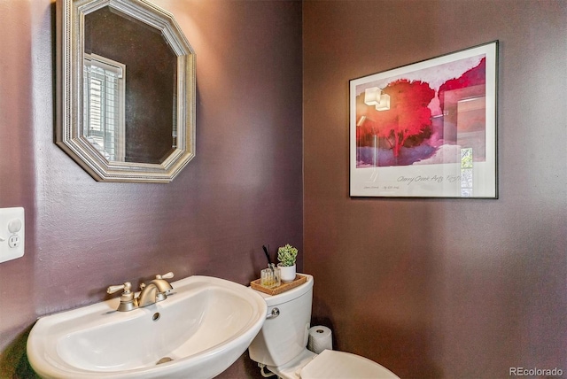 2831 Spruce St, Denver, CO 80238 - photo 9