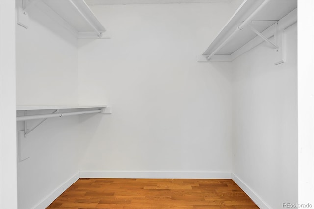3653 E 133rd Ct, Thornton, CO 80241 - walk in closet with wood finished floors